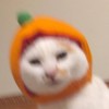 夹心yyy