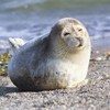 wasalex0804