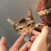 ᴊ ° ᵕ。ʏ