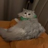 滚滚滚滚滚滚滚滚