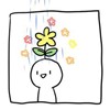 薇薇同学