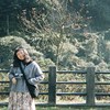wenjiemouse