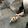 等我