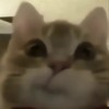 xuannn