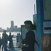 王韦皓