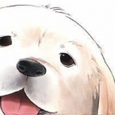 瑞欧.沃尔德的锁链