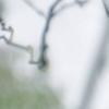 winterhui