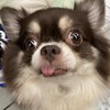 ruru_qq