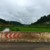 petrichor