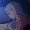 wwZ_app