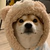 碗精