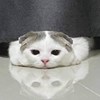 ♡