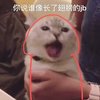 修泽的发际线粉