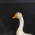 呀