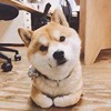 牙牙