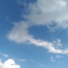 xharvey