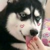 axina