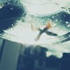蝉不鸣