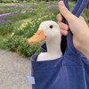 郑