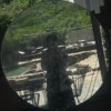 xin
