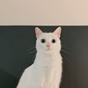 soft_cake_2m4