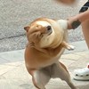 ɴᴀ
