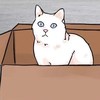 喳喳
