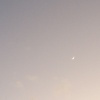 企鹅