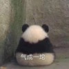 黎