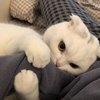 Aimyoonli