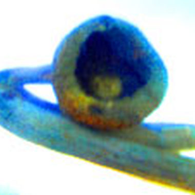 Looking For Directions