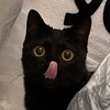 かがみ