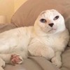 Fiona