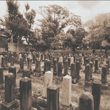 真田山公墓完整版影片＋音乐 (online-audio-converter.com) (1)