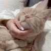 心地