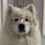 yi_ling60072