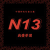 N13