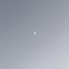 ynn_163