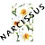 The Narcissus