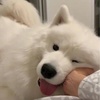 陈泉