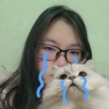yu_yu730