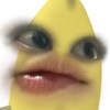 Zai元载