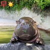 乐色colorful