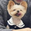 超级狗勾王