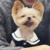 超级狗勾王