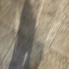 萧筠蓁