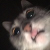 Iris_06