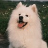 yuting_H