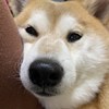ㄩㄩ