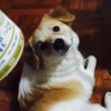 小帅哥